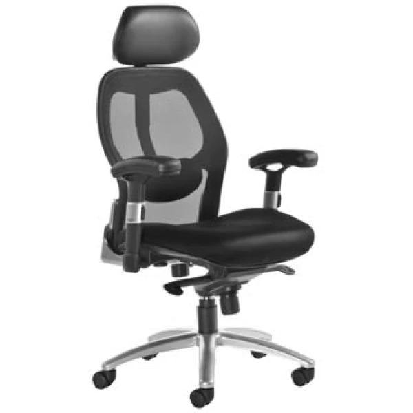 Resden Mesh Executive Office Chair