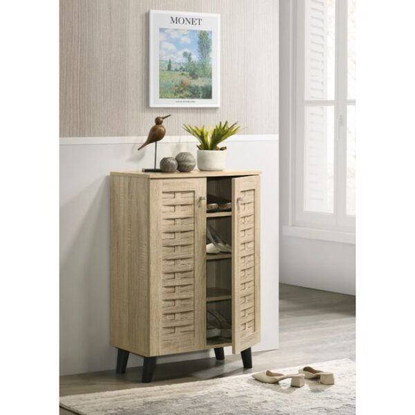 Two-Door Shoe Storage Cabinet