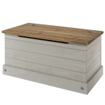 Coson Grey Storage Trunk