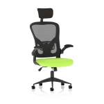 Masino Executive Bespoke Fabric Seat Myrrh Green Mesh Chair With Folding Arms