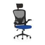 Masino Executive Bespoke Fabric Seat Stevia Blue Mesh Chair With Folding Arms
