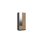 Wister Two Door Two Draw Mirror Wardrobe - Graphite Rustic Oak