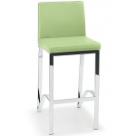 Duncan Fixed Height Chrome Frame - Green