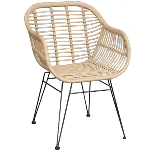 Hayden Carver Chair Rattan Design