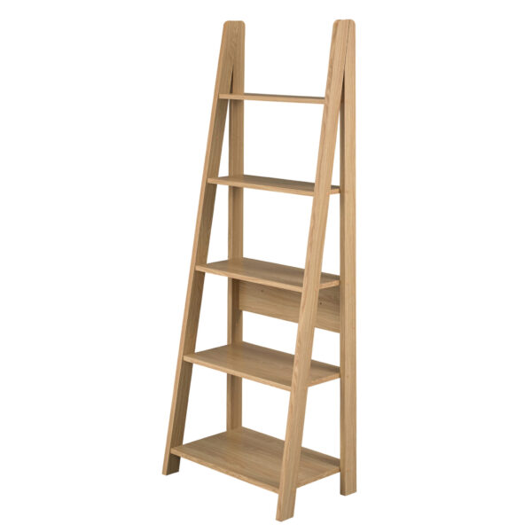 Toddny Ladder Bookcase Oak